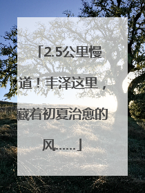2.5公里慢道！丰泽这里，藏着初夏治愈的风……