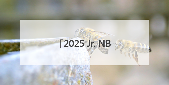 2025 Jr. NBA全国选拔营圆满落幕，阿迪达斯助力追梦少年圆梦