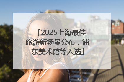 2025上海最佳旅游新场景公布，浦东美术馆等入选