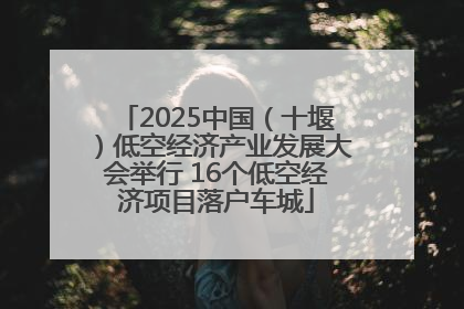 2025中国（十堰）低空经济产业发展大会举行 16个低空经济项目落户车城