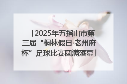 2025年五指山市第三届“桐林假日·老州府杯”足球比赛圆满落幕