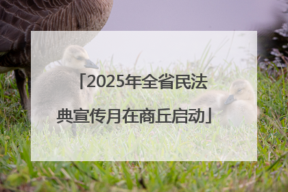 2025年全省民法典宣传月在商丘启动