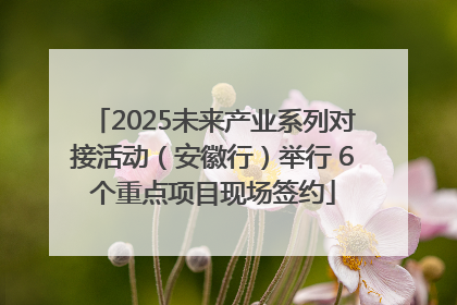 2025未来产业系列对接活动（安徽行）举行 6个重点项目现场签约