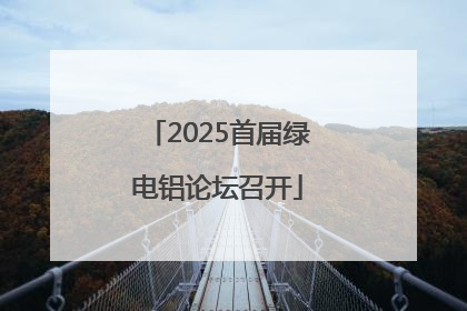 2025首届绿电铝论坛召开