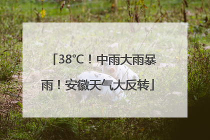 38℃！中雨大雨暴雨！安徽天气大反转