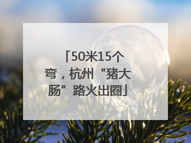 50米15个弯，杭州“猪大肠”路火出圈