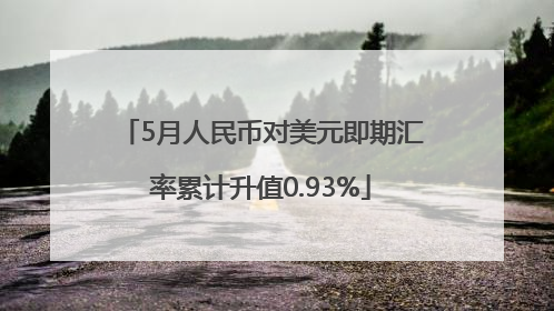 5月人民币对美元即期汇率累计升值0.93%