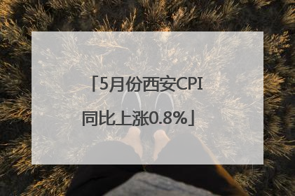 5月份西安CPI同比上涨0.8%