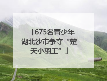675名青少年湖北沙市争夺“楚天小羽王”