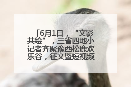 6月1日，“文影共绘”，三省四地小记者齐聚豫西松鹿欢乐谷，征文暨短视频大赛精彩启幕！