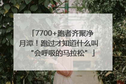 7700+跑者齐聚净月潭！跑过才知道什么叫“会呼吸的马拉松”