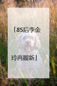 85后李金玲再履新