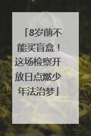 8岁前不能买盲盒！这场检察开放日点燃少年法治梦