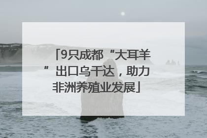 9只成都“大耳羊”出口乌干达，助力非洲养殖业发展