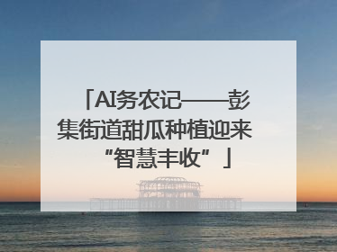 AI务农记——彭集街道甜瓜种植迎来“智慧丰收”