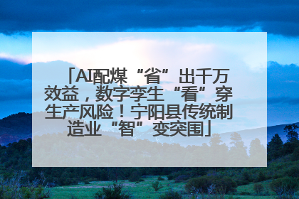 AI配煤“省”出千万效益，数字孪生“看”穿生产风险！宁阳县传统制造业“智”变突围
